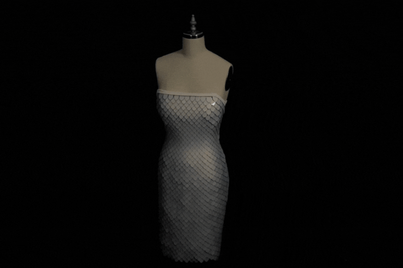 Robe Projet Primrose